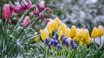 ПРОХОЛОДНИЙ КВІТЕНЬ ТА ТРЕТИНА РОКУ.