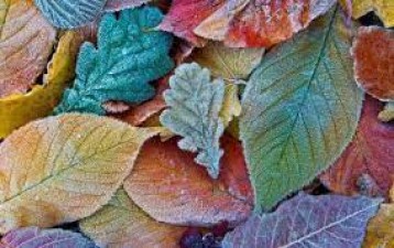 РЕКОРДНИЙ ЛИСТОПАД ТА ПІДСУМКИ 11 МІСЯЦІВ