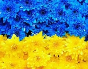 ВИКЛИКАЄМО кандидатів для отримання кредиту - УЧАСНИКІВ АТО