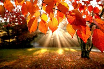 ЖОВТЕНЬ ТА 10 МІСЯЦІВ